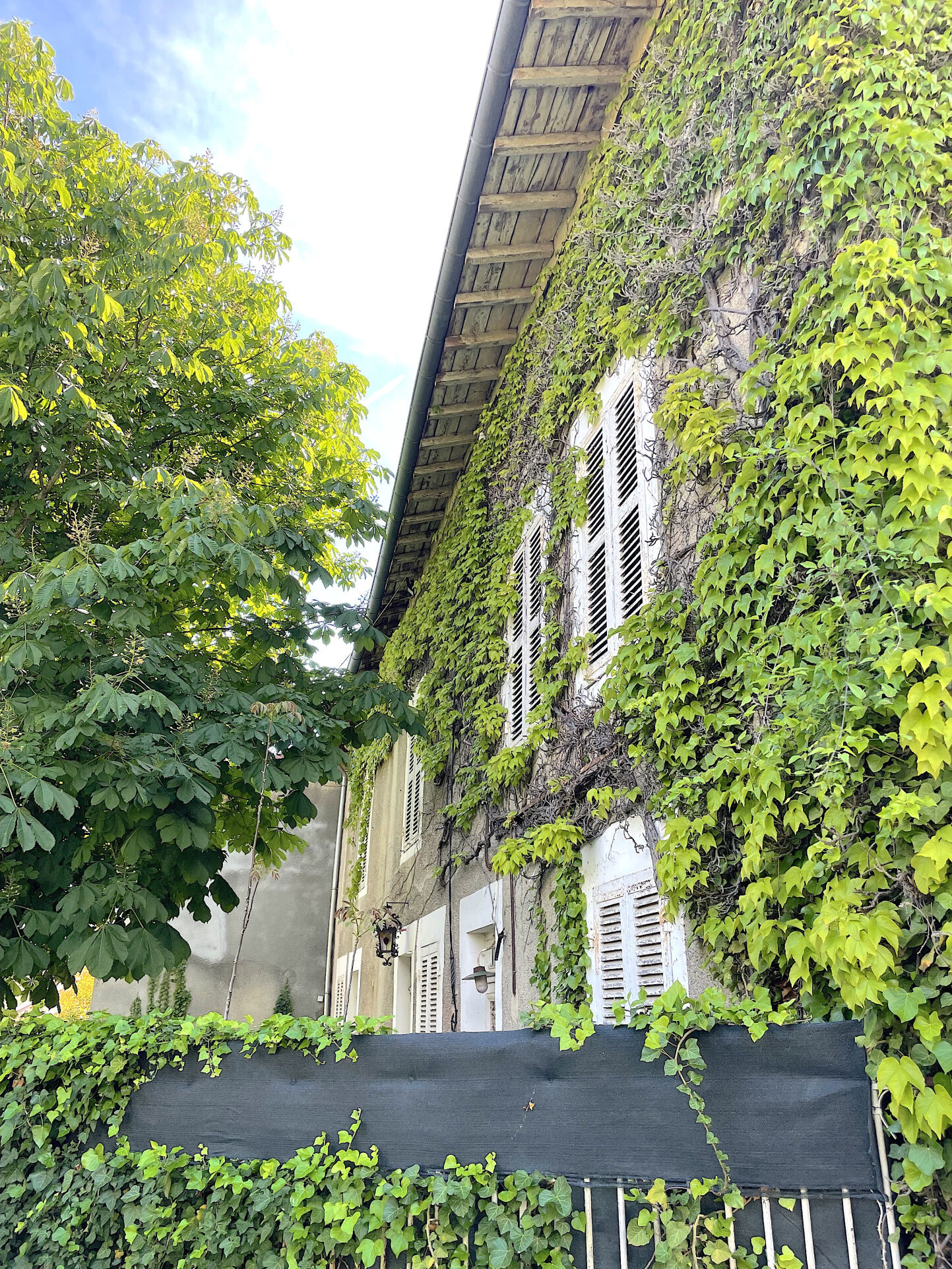 Agence immobilière de ArlimPrestige Croix-Rousse/Caluire