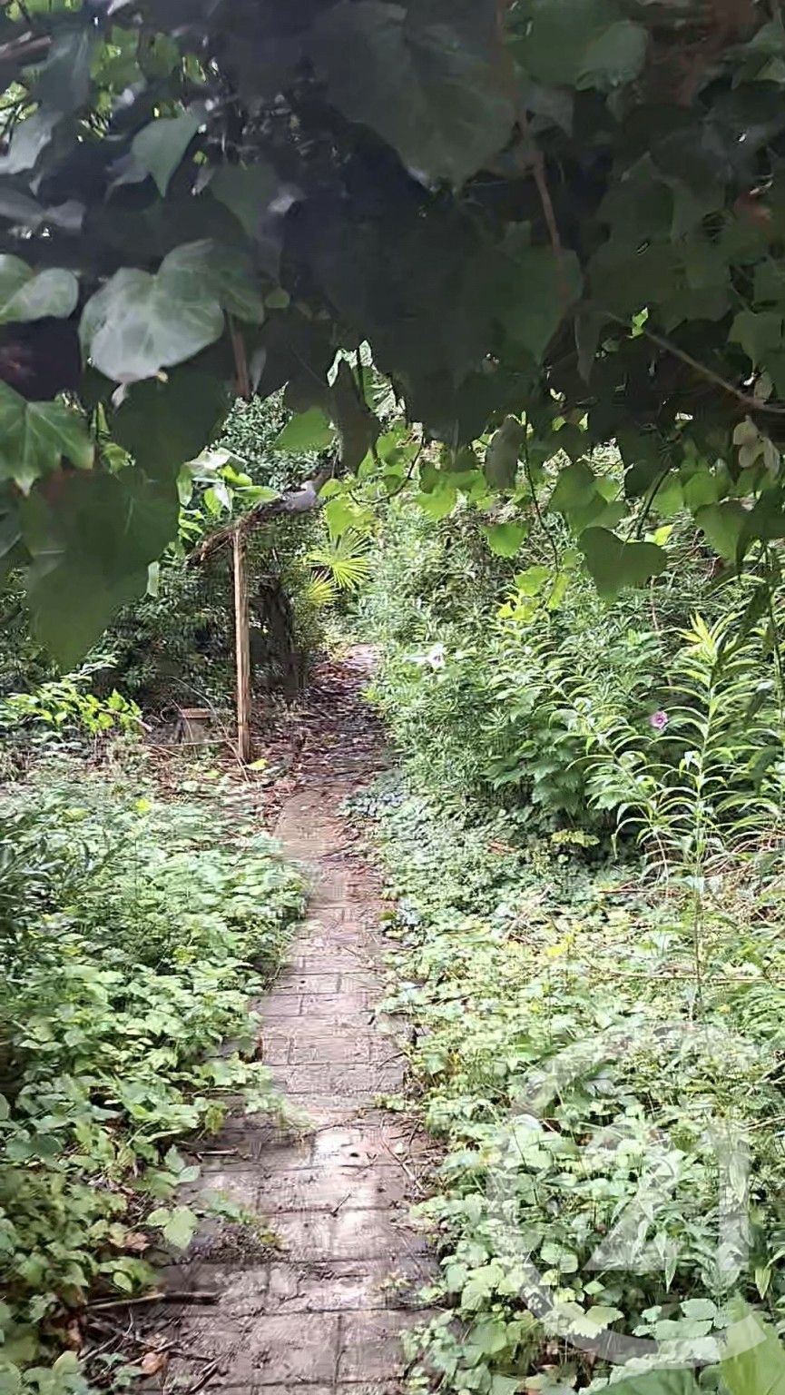 Agence immobilière de CENTURY 21 THIAIS