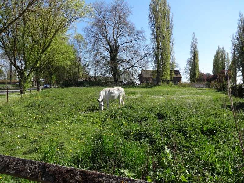 Agence immobilière de AGENCE LEBLANC