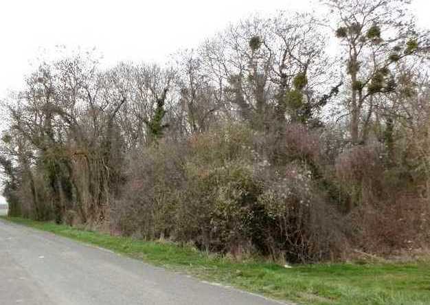 Agence immobilière de AGENCE LEBLANC