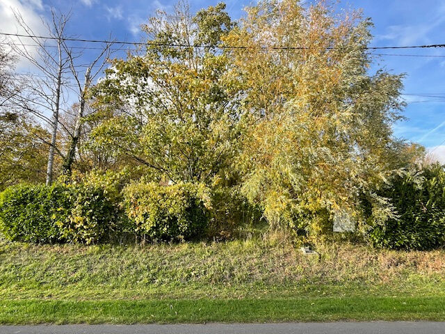 Agence immobilière de CLINI Tony