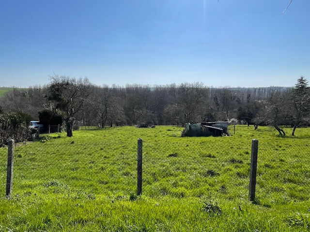 Agence immobilière de CLINI Tony