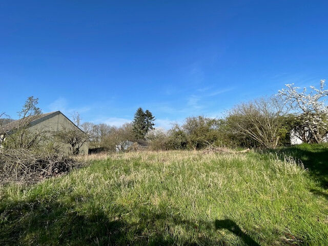 Agence immobilière de CLINI Tony