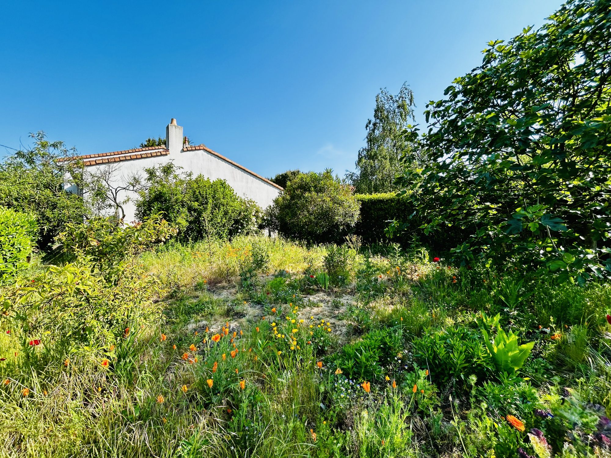 Agence immobilière de Isabelle BAYLE
