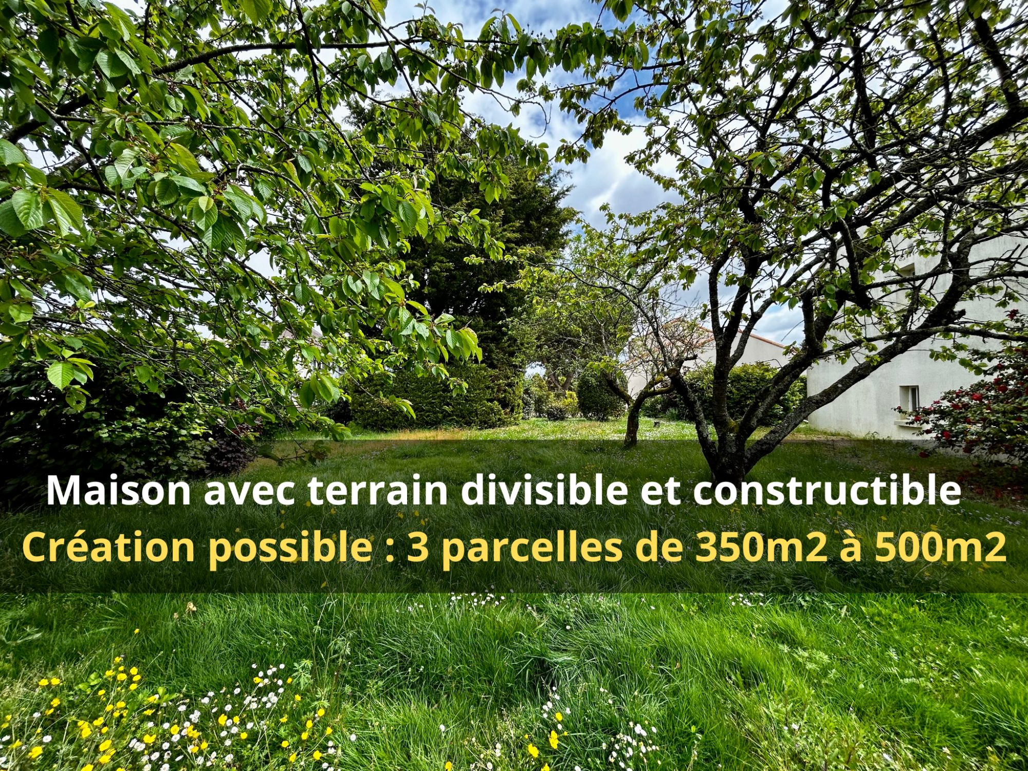 Agence immobilière de Isabelle BAYLE