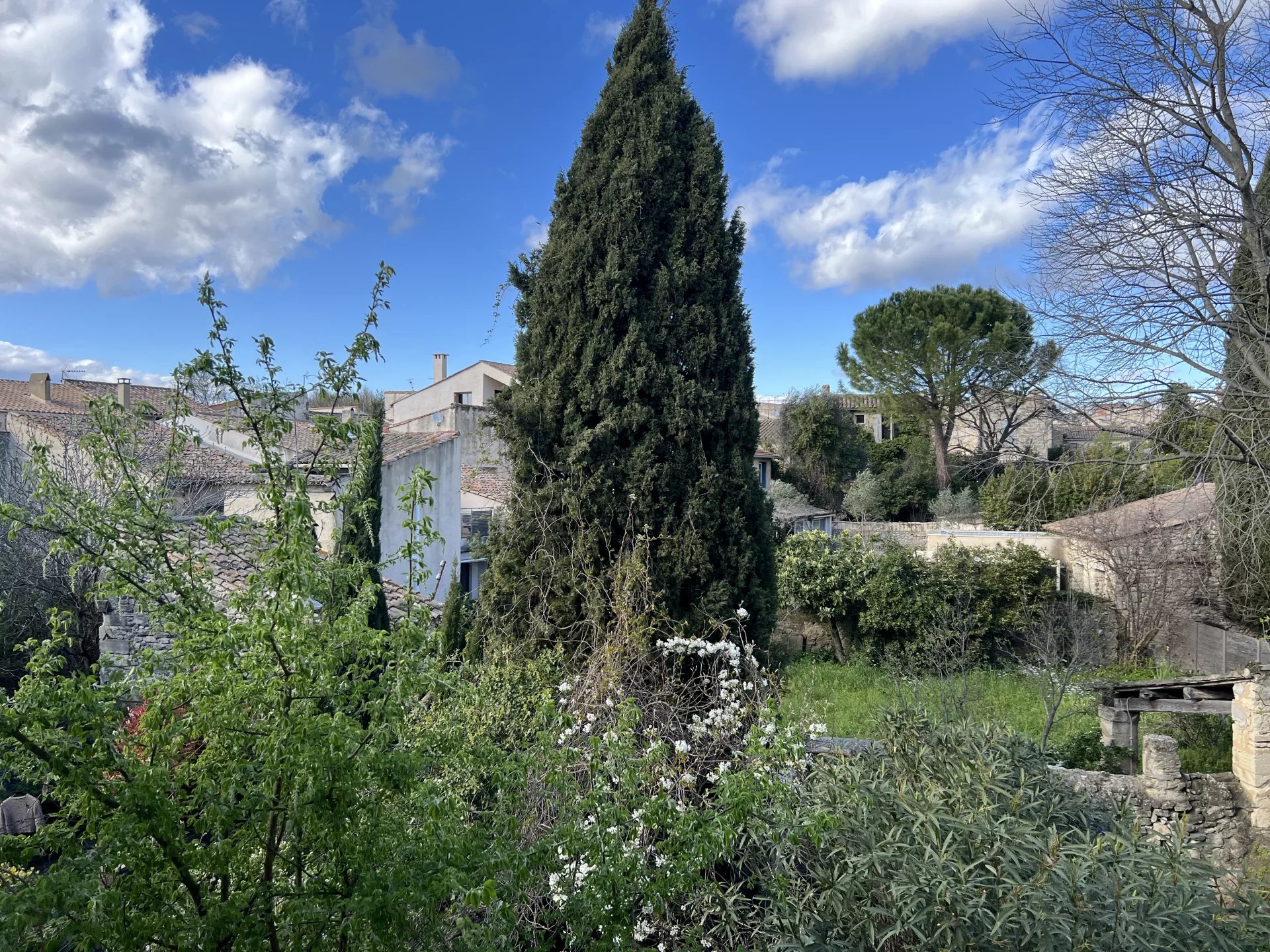 Agence immobilière de Jahel BLOCH