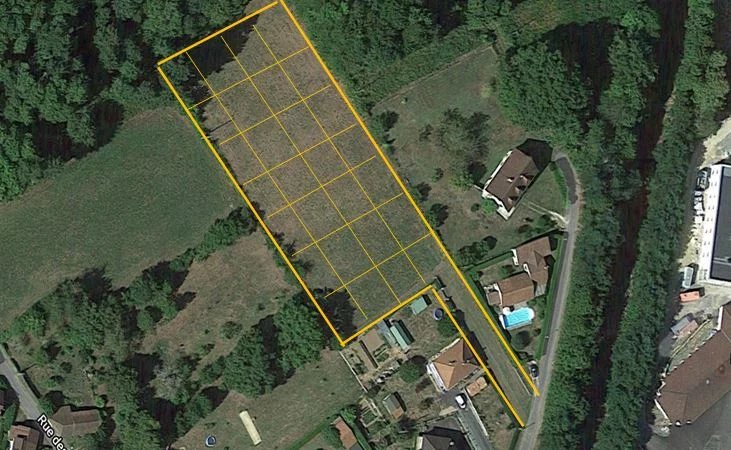 Agence immobilière de CELLE Nikki