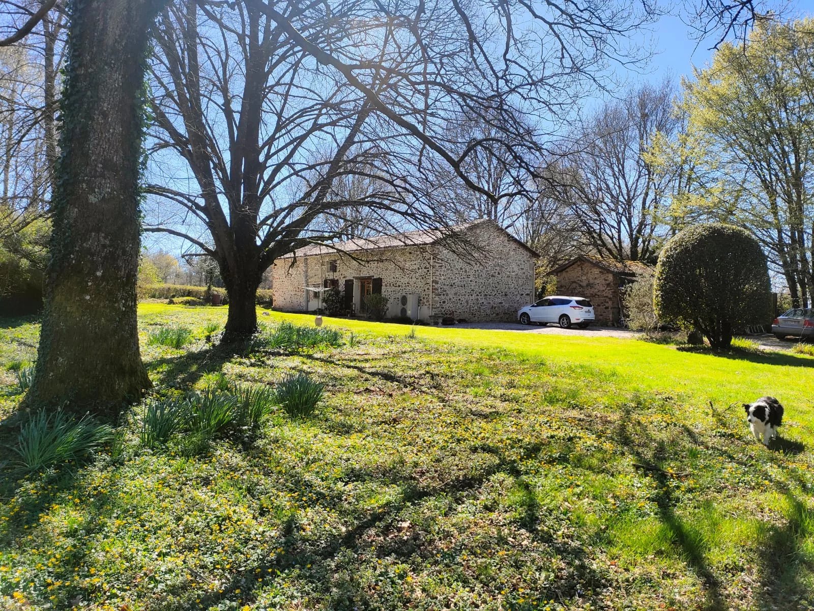 Agence immobilière de CELLE Nikki