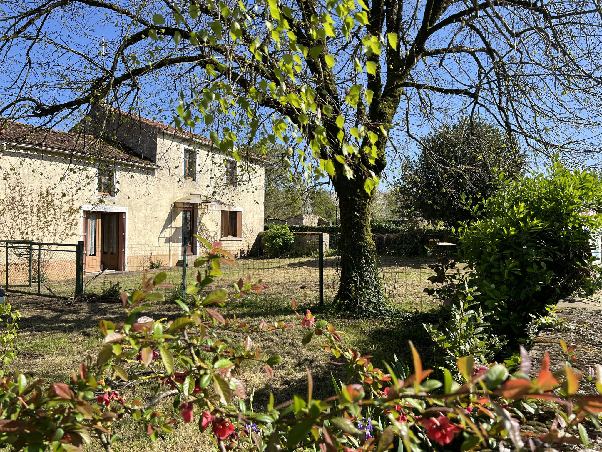 Agence immobilière de BOUCHEREAU Marie