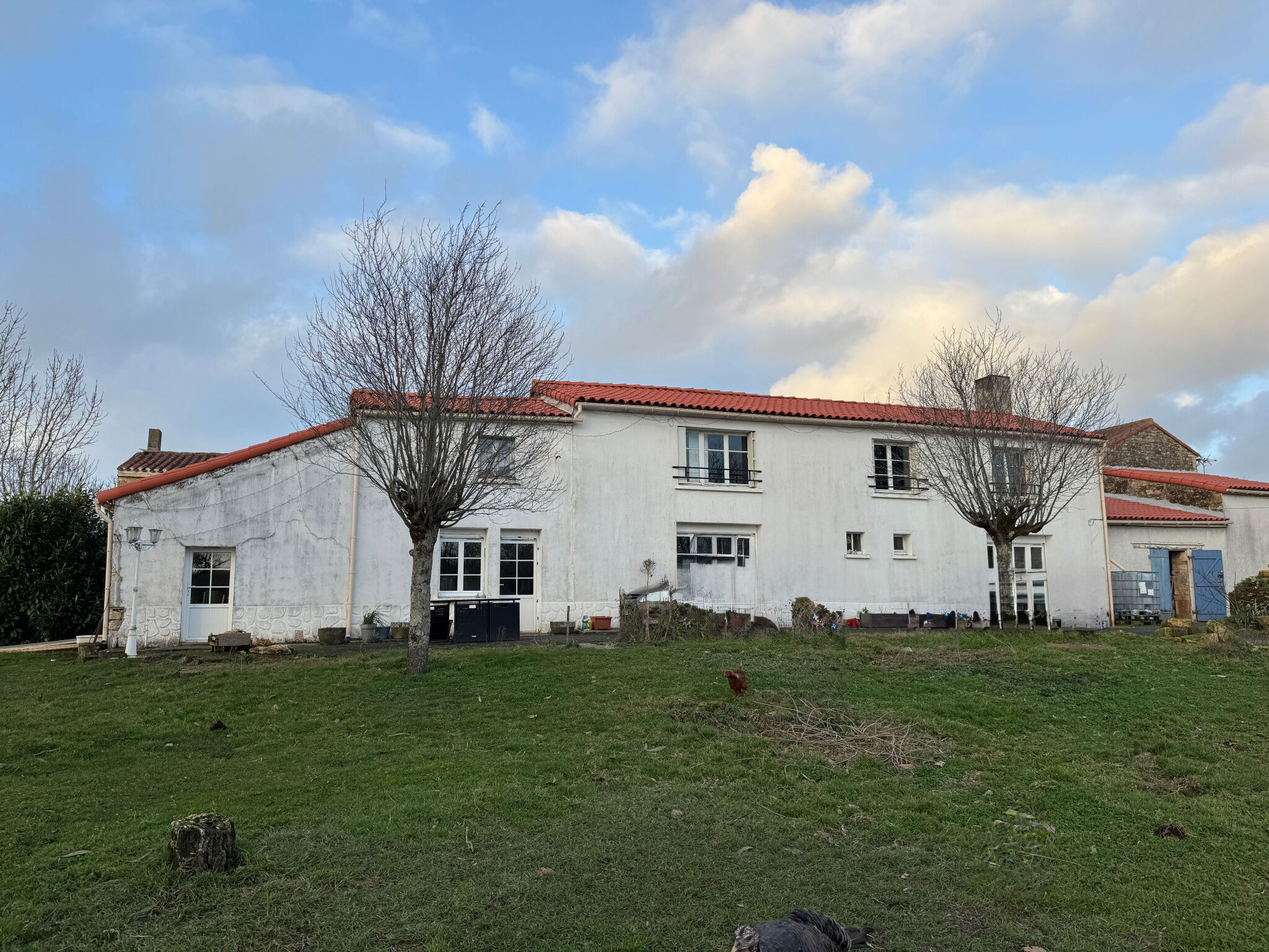 Agence immobilière de AV IMMO