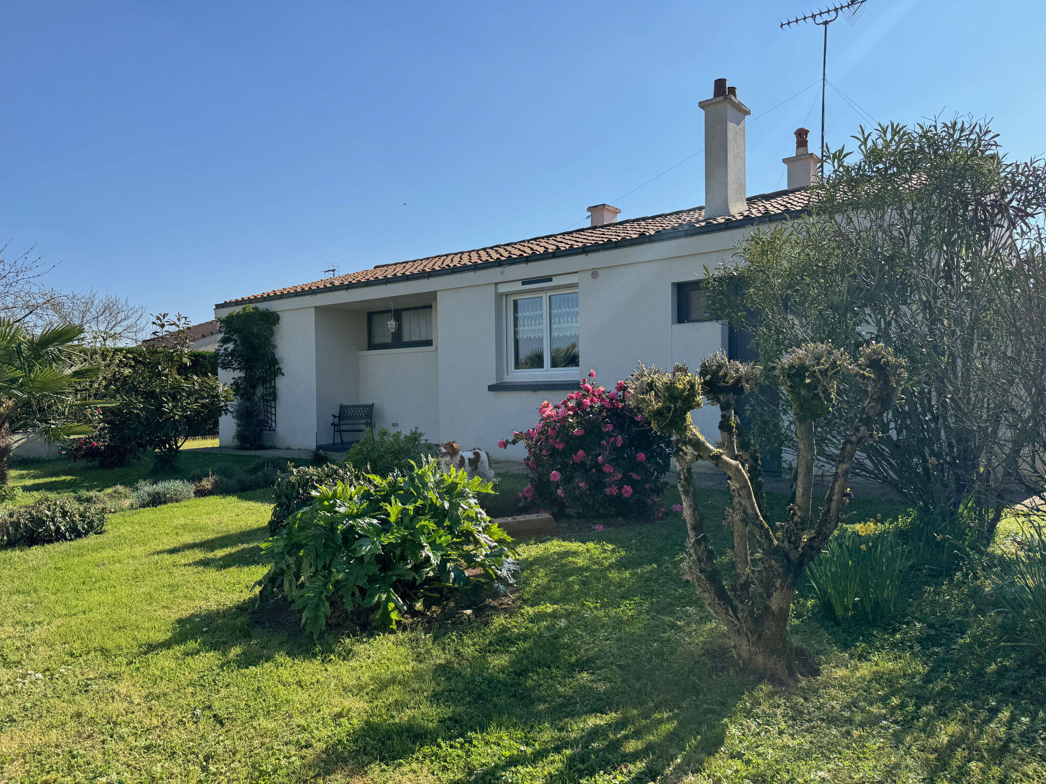 Agence immobilière de AV IMMO