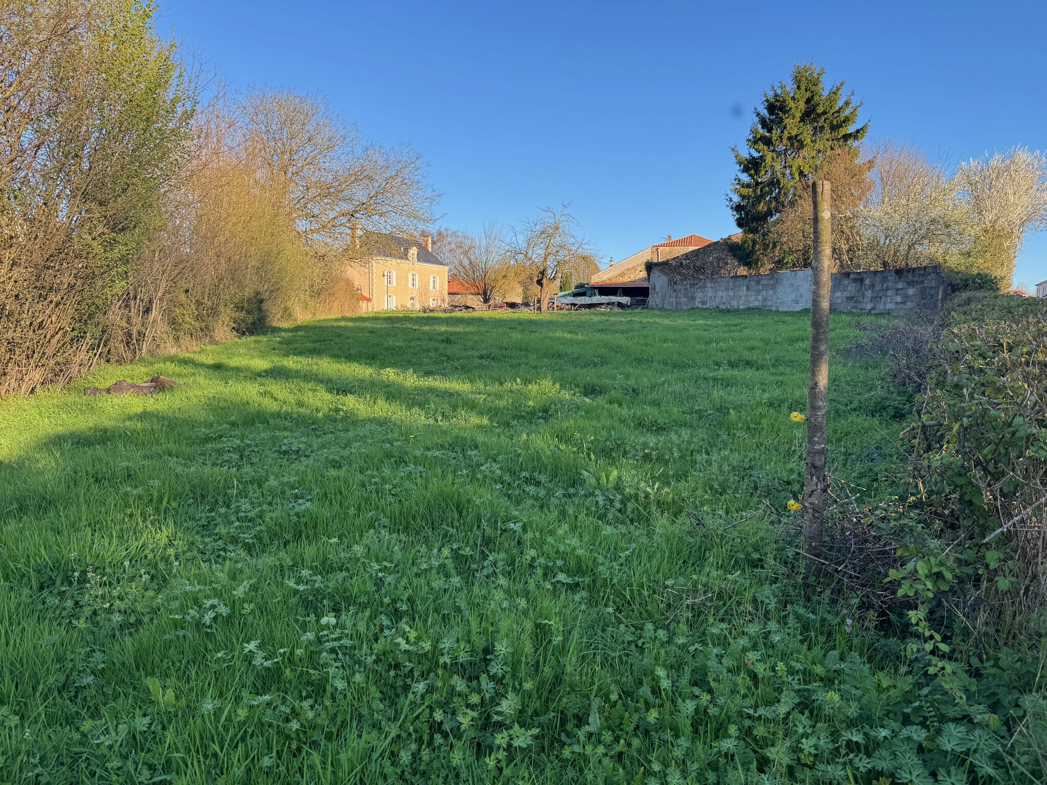 Agence immobilière de AV IMMO