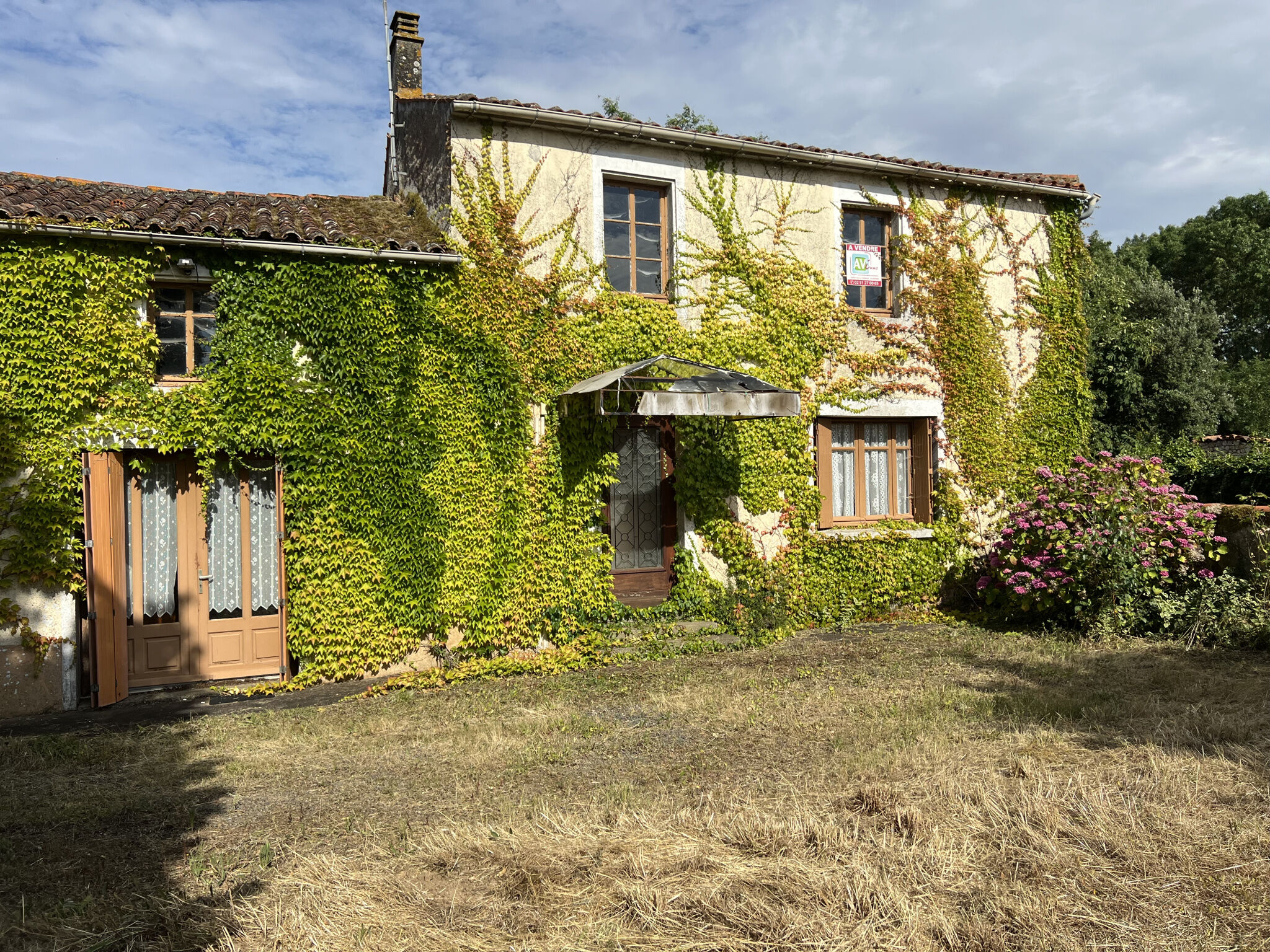 Agence immobilière de AV IMMO