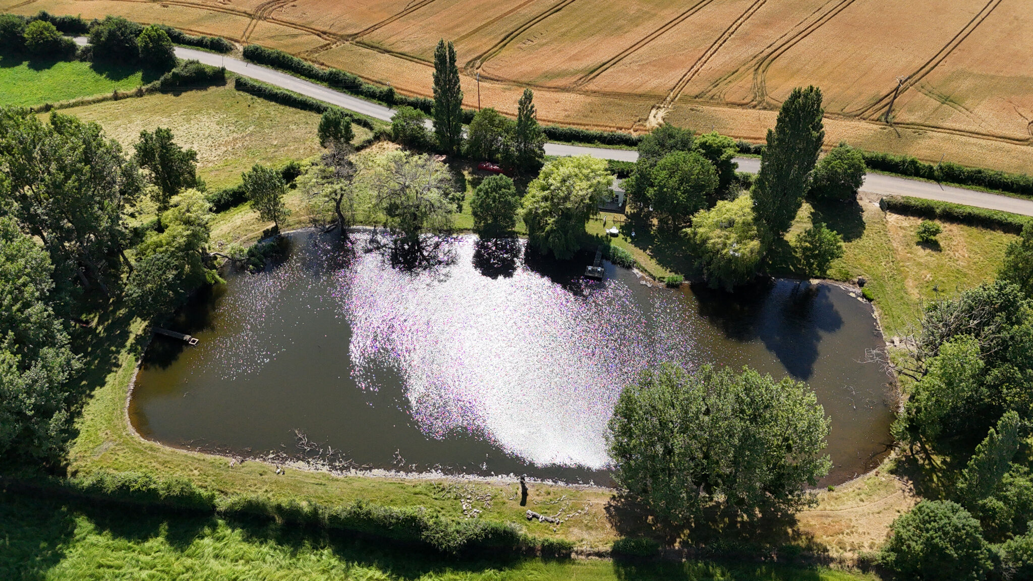 Agence immobilière de AV IMMO
