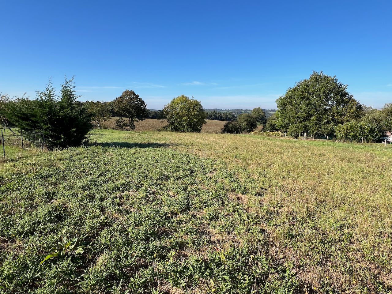 Vue dégagée sur la campagne pour ce terrain à bâtir - LA REORTHE 85210