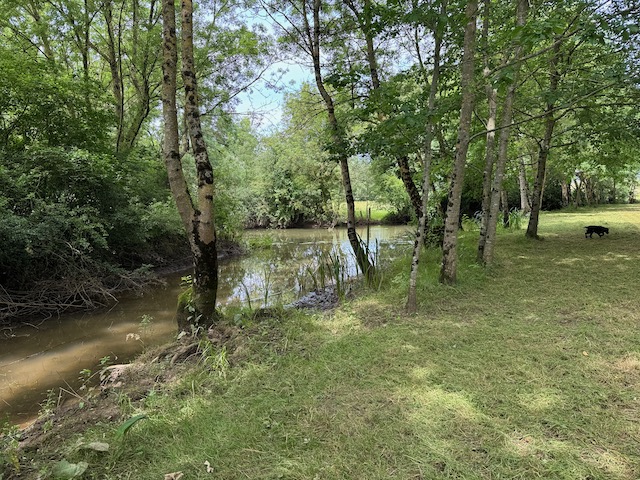 Terrain de loisirs en bord de rivière - A 5min DE ST JEAN D'HERMINE 85210