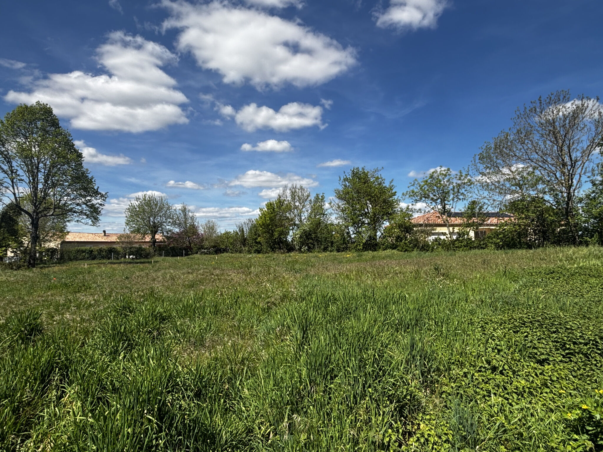 Agence immobilière de AVANT GARDE TRANSACTION LAURAGAIS