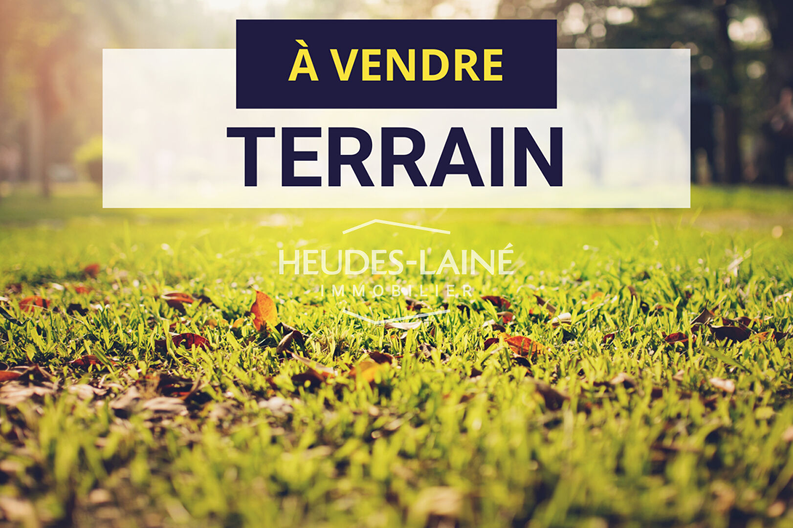 Agence immobilière de HEUDES LAINE