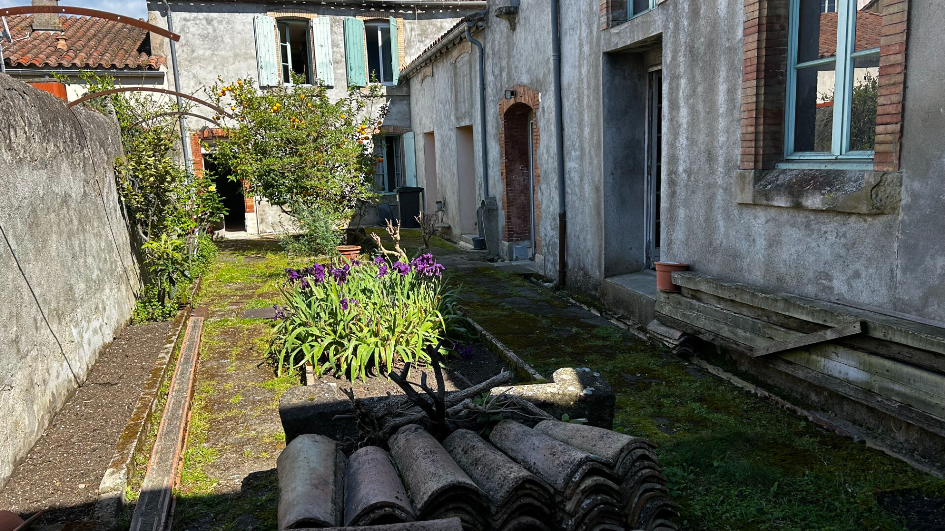 Agence immobilière de Arte Vivendi