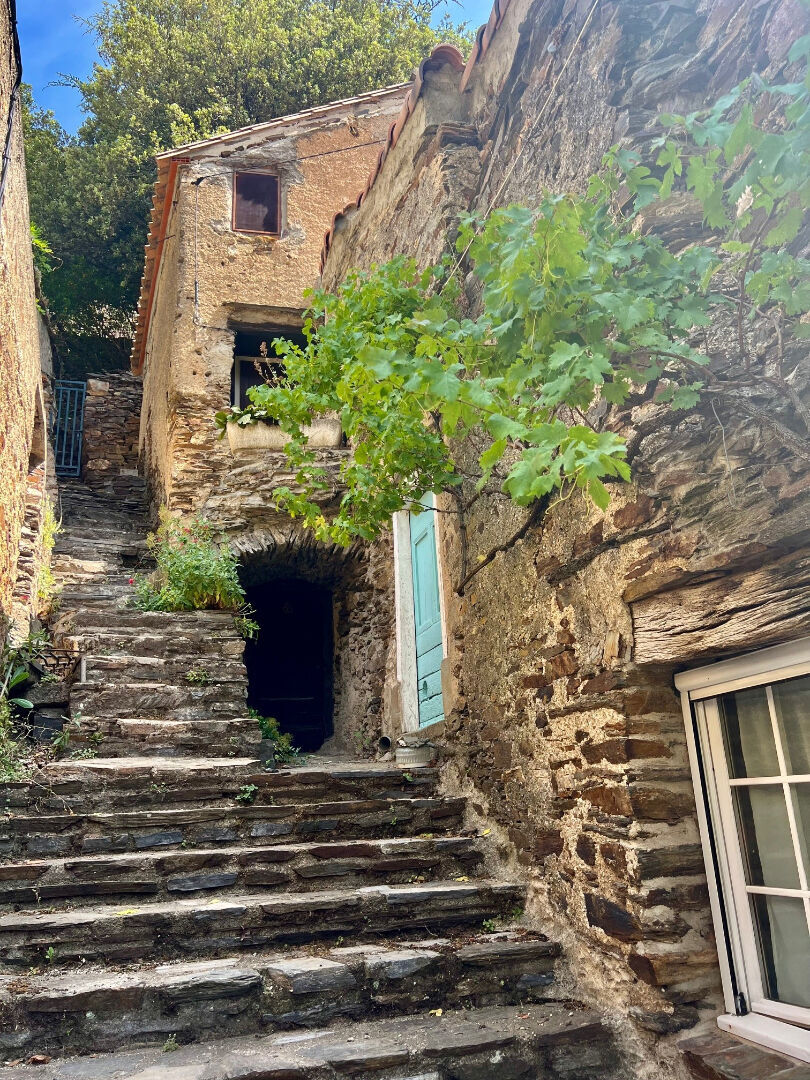 Agence immobilière de Arte Vivendi