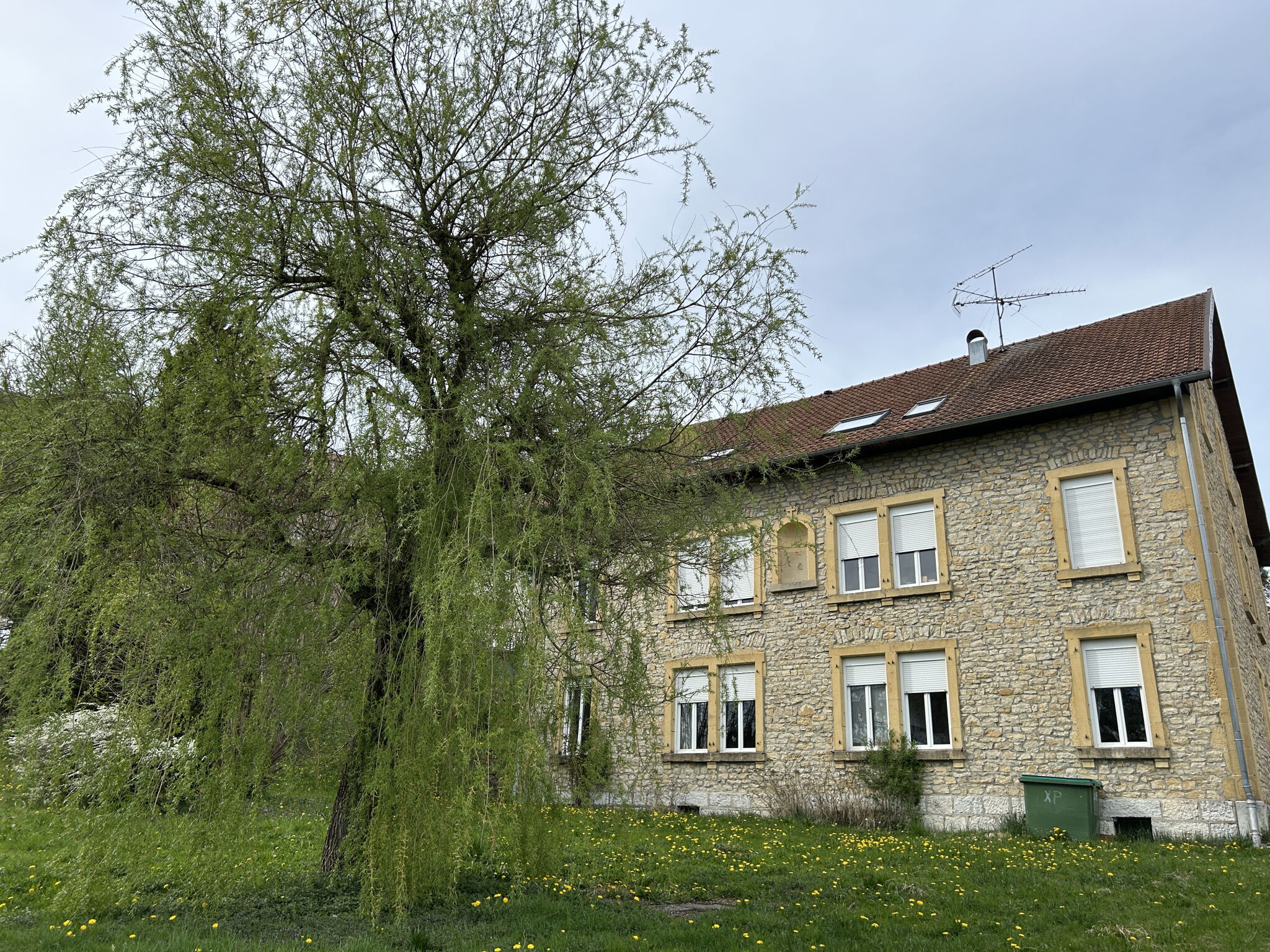 Agence immobilière de SOLA Anaïs