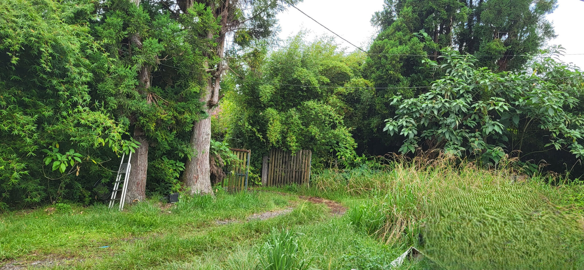 Agence immobilière de DELPY Lilian