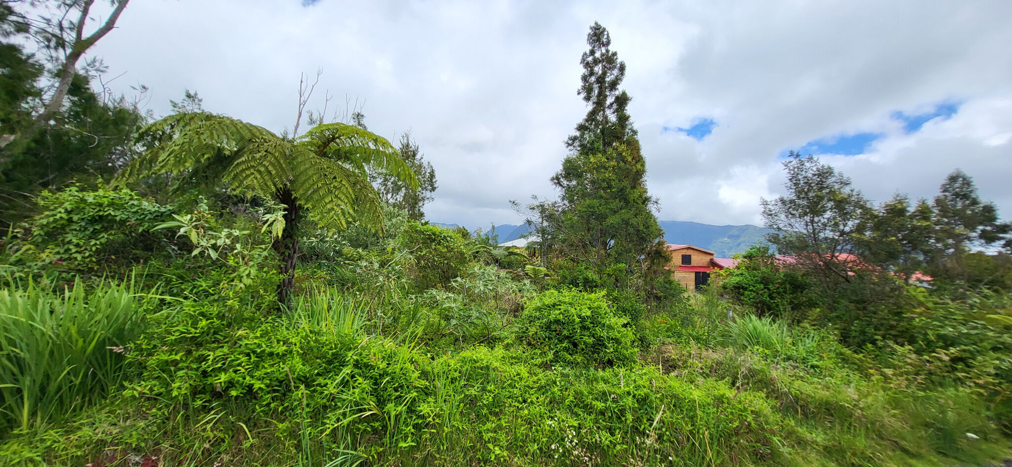 Agence immobilière de DELPY Lilian