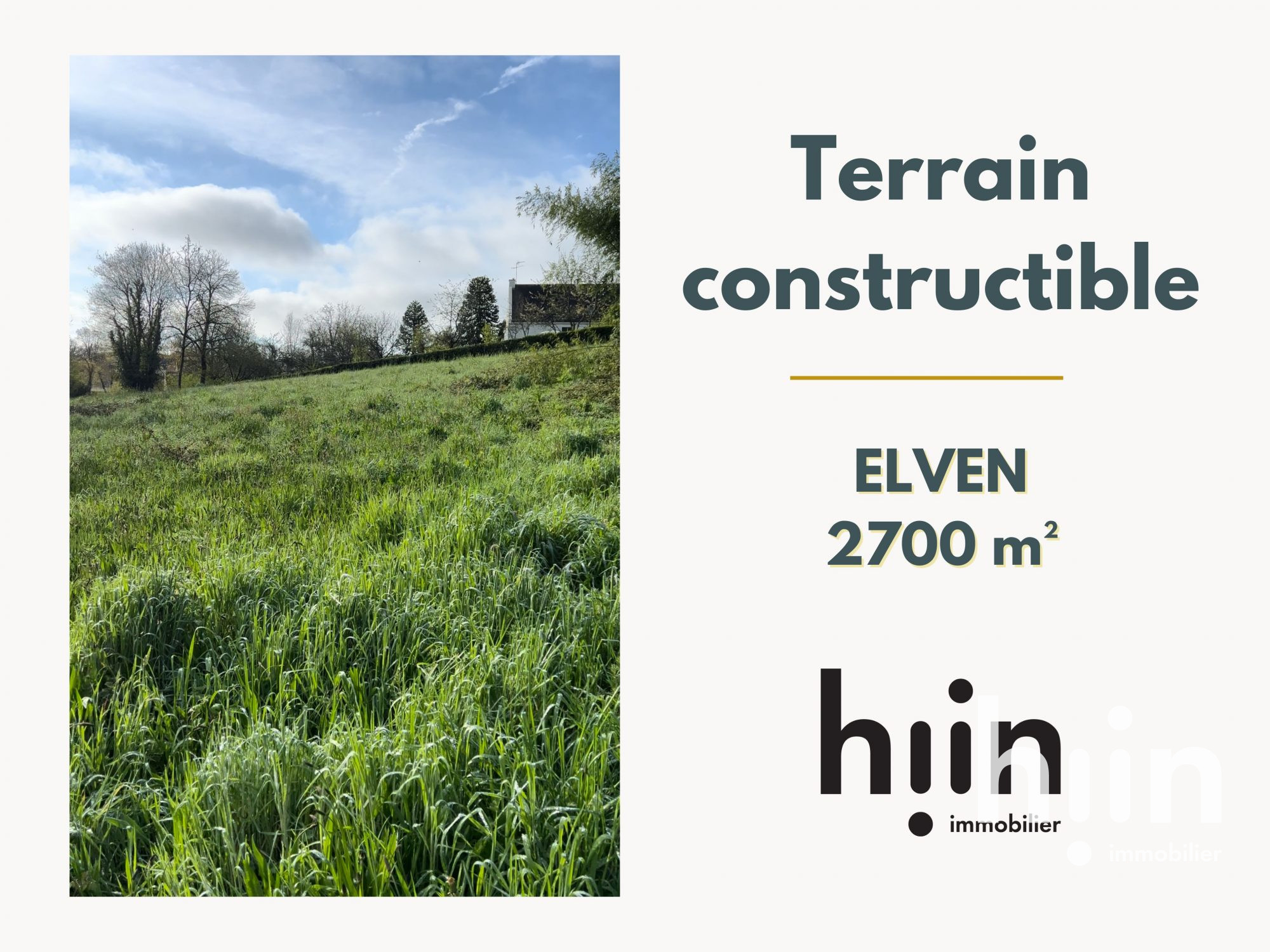 Agence immobilière de Ana TSVEIBA