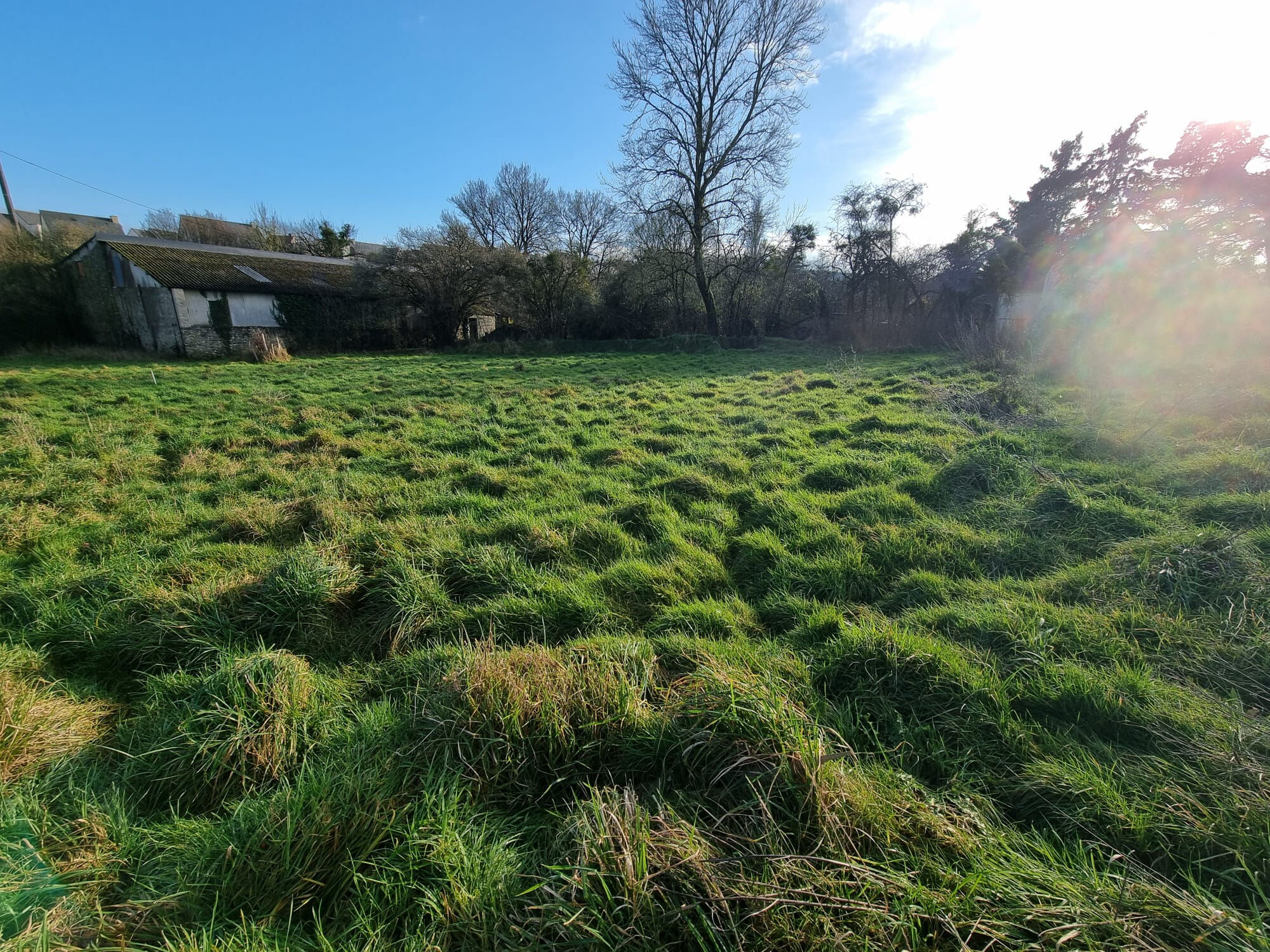 Agence immobilière de MERRIEN Laetitia