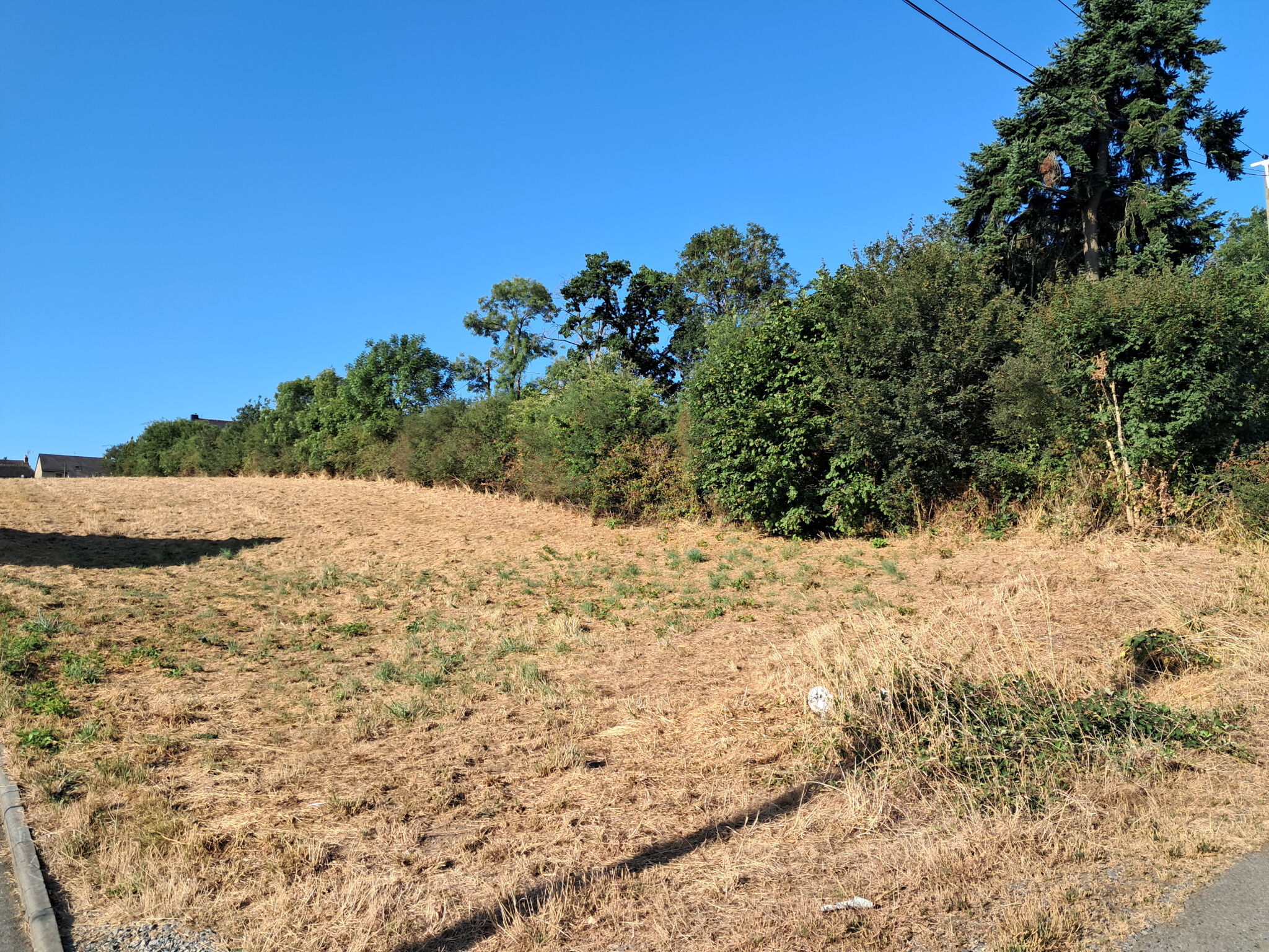 Agence immobilière de MERRIEN Laetitia