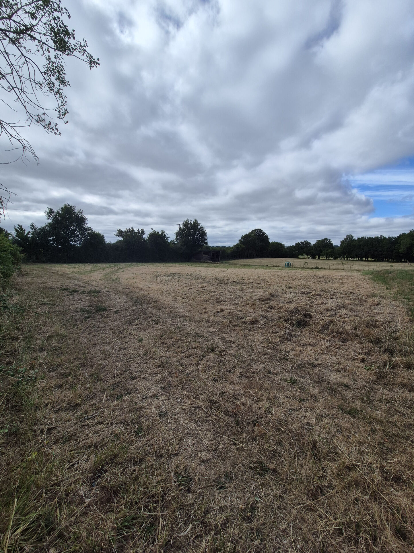 Agence immobilière de MERRIEN Laetitia